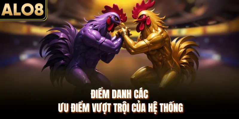 Đá Gà ALO8 - Đấu Trường Thomo Full HD, Chuẩn Chất Lượng 2 Điểm danh các ưu điểm vượt trội của hệ thống