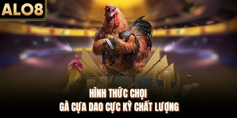 Đá Gà ALO8 - Đấu Trường Thomo Full HD, Chuẩn Chất Lượng 3 Hình thức chọi gà cựa dao cực kỳ chất lượng